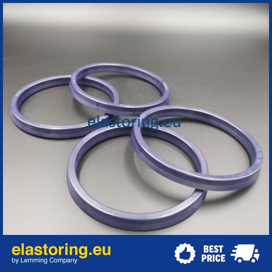 Rod seal RPO 100x115x12 [2ERPO090]